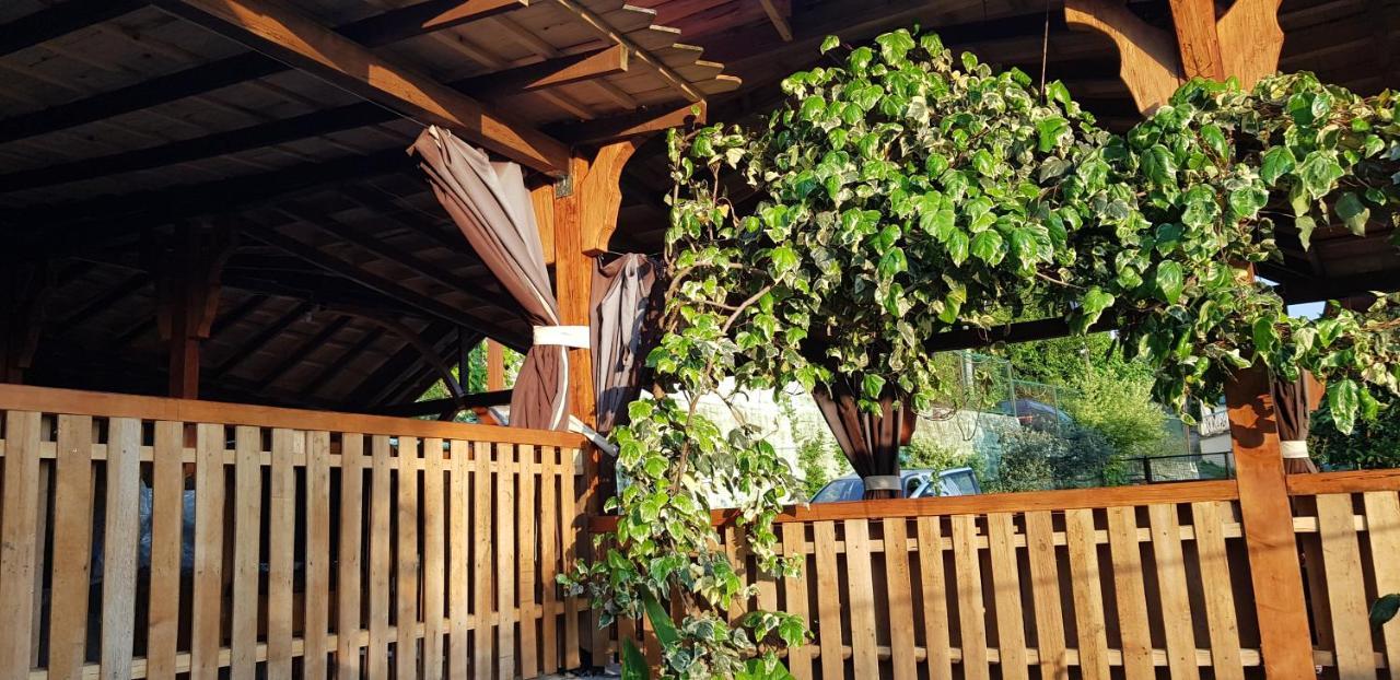 Эко-Отель Гагра Gagra Extérieur photo
