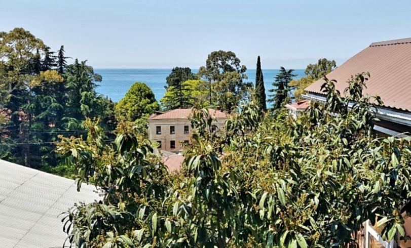 Эко-Отель Гагра Gagra Extérieur photo